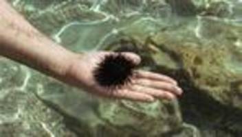 Wetterextreme: Warum so gereizt?