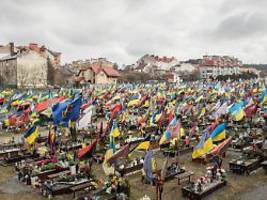 Selenskyj wird Orden entzogen: Darum geht es beim gefährlichen Zoff zwischen der Ukraine und Polen
