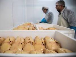 stopfleber aus china?: weltmarktführer frankreich bekommt bei foie gras konkurrenz
