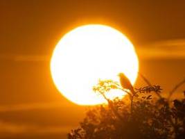 Längster Tag des Jahres beginnt: 21. Juni - Erhellendes zur Sommersonnenwende