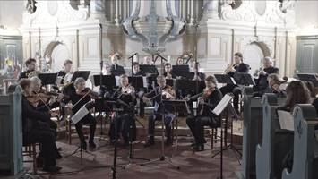 musik und natur genießen: mit mozart durch die boberger dünen wandern