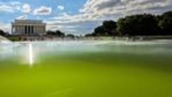 Donald Trumps Reflecting Pool: Der Pool, an dem der Präsident verzweifelt
