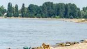 Suche geht weiter: Drei Männer nach Badeunfällen bei Biblis weiter vermisst