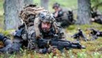 Nato-Ostgrenze: Litauen lobt vor Pistorius-Besuch Aufbau deutscher Brigade