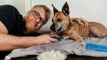 Mein Hund und die Hitze: Wie ich Betty bei 30 Grad in der Wohnung abkühle