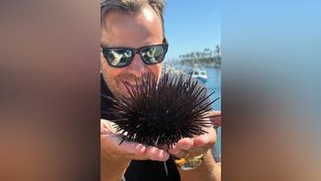 Karls Erdbeerhof plant ersten Freizeitpark in den USA – mit einer Besonderheit