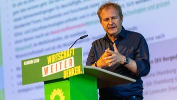 Ärger bei den grünen: ex-senator und staatsrat schulden partei zehntausende euro