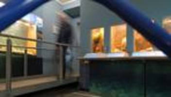 Vier Museen: Potsdamer Museen laden zu kostenlosem Besuch