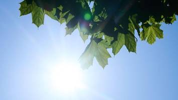 Wetter in Berlin und Brandenburg: Wird die 40-Grad-Marke am Wochenende geknackt?