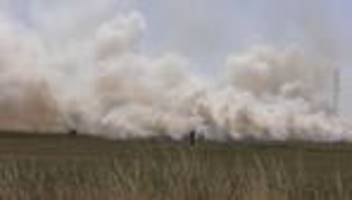 Brände: Feldbrand in Euskirchen - 10.000 Quadratmeter in Flammen