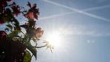 hitzewelle: bis zu 40 grad: extreme hitze in hessen hält an