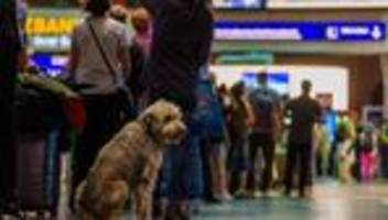 Nach Störung: Stillstand am Bahnknotenpunkt