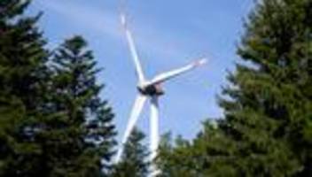 Windräder im Wald: Landesforstanstalt sucht sich Partner für Energieprojekte
