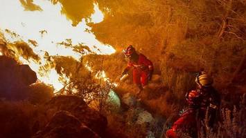 waldbrände in europa: das sind die häufigsten ursachen
