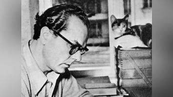 arno schmidt: ein literarischer kosmos im brühwürfelformat