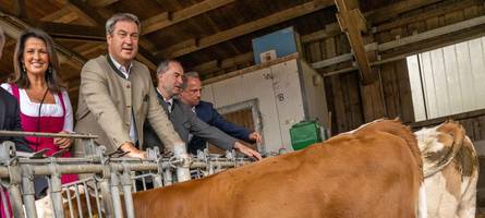 BayWa droht Pleite: Lassen Söder und Aiwanger die Bauern im Stich?