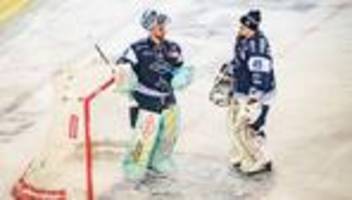 Deutsche Eishockey Liga: Dresdner Eislöwen endgültig abgestiegen