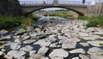 Wetter: Trockenheit: Stadt Dresden verhängt Wasserentnahmeverbot