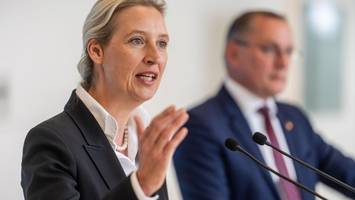 unabhängiges gutachten sieht afd als klar verfassungswidrig