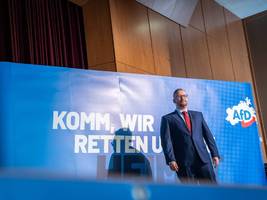 AfD: Der Netzwerker hinter Alice Weidel