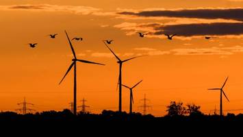 1000 Euro pro Megawattstunde: So treibt die Hitzewelle den Strompreis nach oben