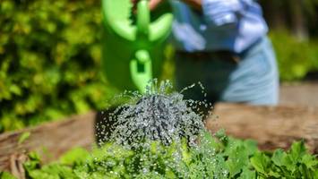„system stößt an grenzen“: stadt und stadtwerke rufen zum wassersparen auf