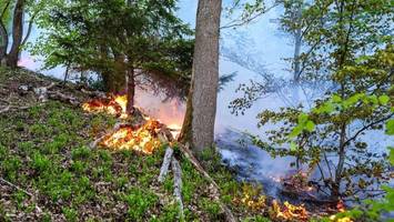 „hohe waldbrandgefahr“ in hamburg – umweltbehörde fordert zum wassersparen auf
