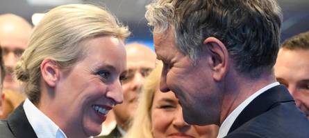 Gutachten: Chancen für AfD-Verbotsantrag stehen gut