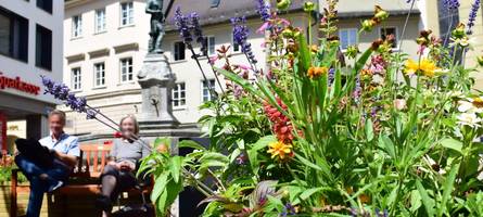 Bekommt Augsburg eine Landesgartenschau?
