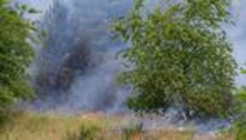 Hitze und Trockenheit: Brandgefahr: Feier zu Unesco-Welterbe Buchenwälder abgesagt