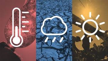 Von Hitzerekord zu Hitzerekord - So heiß ist dieser Sommer