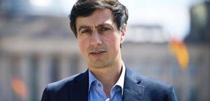 afd: bijan moini über verfassungswidrigkeit der partei und fehler der behörden
