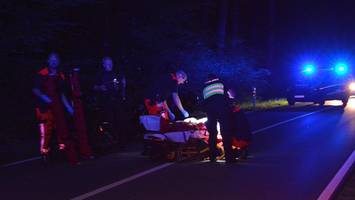 Kawasaki-Fahrerinnen treffen auf Wildschweine – Hamburgerin (34) schwer verletzt