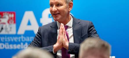 Wie Björn Höcke die AfD prägt