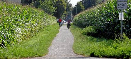 augsburg will klarheit zum radweg kirschenweg schaffen