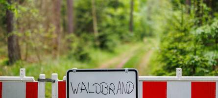 Über 40 grad und die höchste waldbrand-warnstufe: in vielen regionen bayerns steigt das risiko
