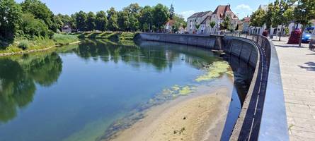 So heiß sind die Flüsse in der Region: Was das für Fische und andere Tiere bedeutet