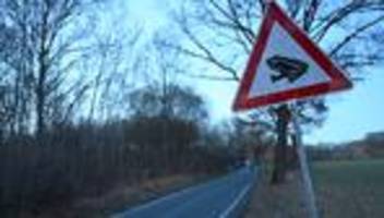 Tiere: Trockenheit und Hitze setzen Fröschen und Kröten zu