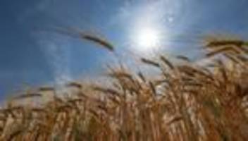 Wettergefahren: Erhöhte Ozon-Konzentration gemessen
