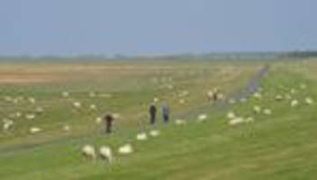 Zum Welterbetitel-Geburtstag: Warum an Nordseedeichen Frühstücksbuffets aufgebaut werden