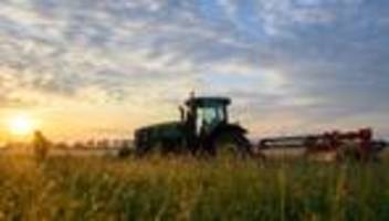 zwei kinder an bord: traktor-unfall nach insekten-schreck – mann schwer verletzt