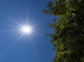 41,7 Grad in Brandenburg: Wieder neuer Temperaturrekord in Deutschland