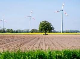 aberwitzige energie-bürokratie: der netzbetreiber sagt: für die leitung muss ich erst die vogelwelt kartieren