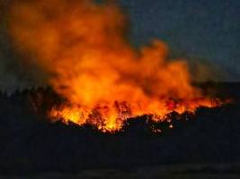 brand bei munitionslagern: zwei waldbrände mit explosionsgefahr fordern die feuerwehr heraus