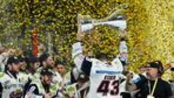 Deutsche Eishockey Liga: Eisbären verpflichten Stürmer Rihards Griva