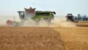 früher erntestart: erste mähdrescher rollen – bauern warnen vor feldbränden