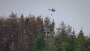 waldbrand: regen lässt waldbrandgefahr in sachsen sinken