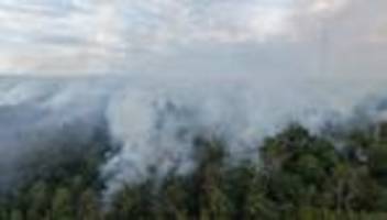 Waldbrände in Rheinland-Pfalz, Bayern und Sachsen: Autobahn wegen großem Waldbrand am Chiemsee gesperrt