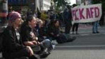 Proteste gegen AfD-Parteitag: Linkenchefin Schwerdtner verteidigt Blockaden von AfD-Parteitagen