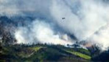 Waldbrände in den USA: Drei Feuerwehrleute sterben bei Einsatz gegen Waldbrände